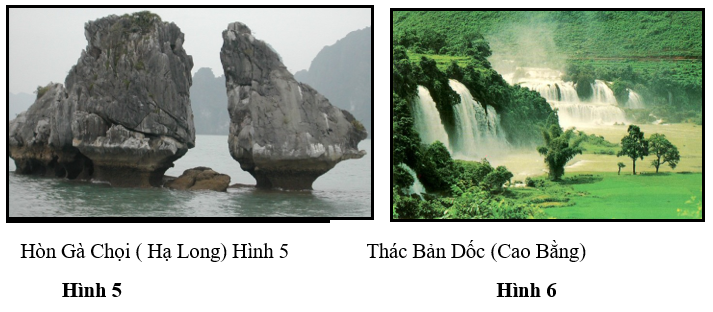 Giáo án Địa Lí 8 Bài 36: Đặc điểm đất Việt Nam (mới, chuẩn nhất)
