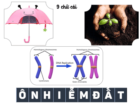 Giáo án Địa Lí 8 Cánh diều Bài 9: Thổ nhưỡng Việt Nam