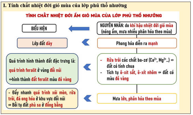 Giáo án Địa Lí 8 Cánh diều Bài 9: Thổ nhưỡng Việt Nam