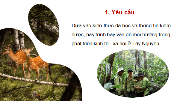 Giáo án điện tử Địa Lí 9 Chân trời sáng tạo Bài 18: Thực hành: Vấn đề môi trường trong phát triển kinh tế - xã hội ở Tây Nguyên | PPT Địa 9