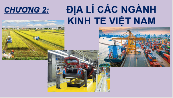 Giáo án điện tử Địa Lí 9 Chân trời sáng tạo Bài 4: Nông nghiệp, lâm nghiệp, thuỷ sản | PPT Địa 9