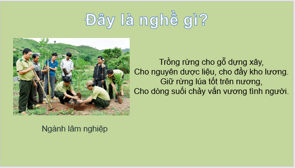 Giáo án điện tử Địa Lí 9 Chân trời sáng tạo Bài 4: Nông nghiệp, lâm nghiệp, thuỷ sản | PPT Địa 9