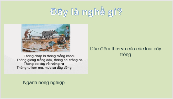 Giáo án điện tử Địa Lí 9 Chân trời sáng tạo Bài 4: Nông nghiệp, lâm nghiệp, thuỷ sản | PPT Địa 9