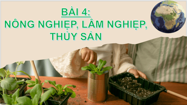 Giáo án điện tử Địa Lí 9 Chân trời sáng tạo Bài 4: Nông nghiệp, lâm nghiệp, thuỷ sản | PPT Địa 9
