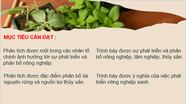 Giáo án điện tử Địa Lí 9 Chân trời sáng tạo Bài 4: Nông nghiệp, lâm nghiệp, thuỷ sản | PPT Địa 9