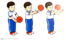 Giáo án Giáo dục thể chất lớp 1 Kết nối tri thức Bài 1: Làm quen với bóng (ảnh 1)