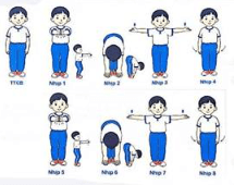 Giáo án Giáo dục thể chất lớp 1 Kết nối tri thức Bài 3: Động tác phối hợp, động tác điều hòa (ảnh 1)