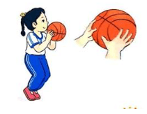 Giáo án Giáo dục thể chất lớp 1 Kết nối tri thức Bài 4: Động tác ném rổ hai tay trước ngực (ảnh 1)