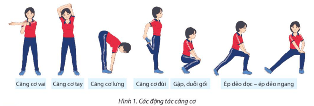 Giáo án GDTC 10 Kết nối tri thức Bài 1: Kĩ thuật di chuyển