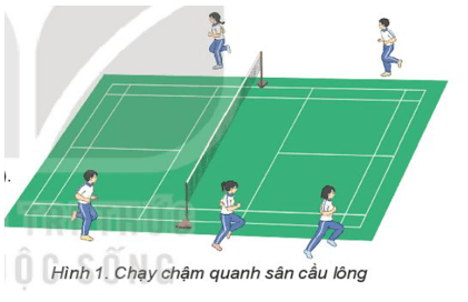 Giáo án GDTC 10 Kết nối tri thức Bài 1: Kĩ thuật di chuyển đơn bước