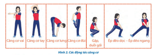 Giáo án GDTC 10 Kết nối tri thức Bài 1: Kĩ thuật phát bóng thấp tay trước mặt