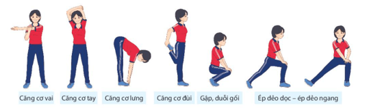 Giáo án GDTC 10 Kết nối tri thức Bài 3: Kĩ thuật bắt và chuyển bóng bằng hai tay trước ngực