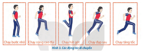 Giáo án GDTC 10 Kết nối tri thức Bài 3: Kĩ thuật chắn bóng