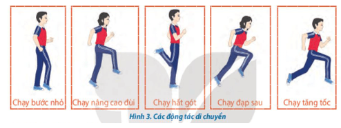 Giáo án GDTC 10 Kết nối tri thức Bài 4: Kĩ thuật chuyển bóng cao tay bằng hai tay trước mặt