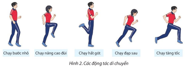 Giáo án GDTC 11 Kết nối tri thức Bài 1: Kĩ thuật chuyền bóng một tay bên hông và hai tay trên đầu