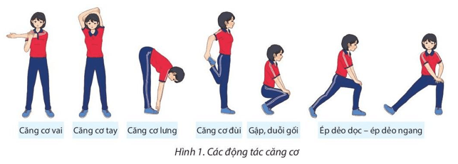Giáo án GDTC 11 Kết nối tri thức Bài 1: Kĩ thuật chuyền bóng một tay bên hông và hai tay trên đầu