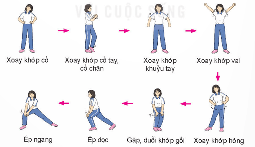 Giáo án GDTC 11 Kết nối tri thức Bài 1: Kĩ thuật dẫn bóng bằng mu trong bàn chân