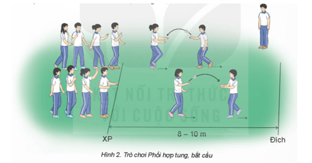 Giáo án GDTC 11 Kết nối tri thức Bài 1: Kĩ thuật di chuyển tiến chéo