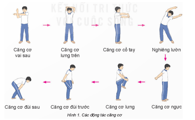 Giáo án GDTC 11 Kết nối tri thức Bài 1: Kĩ thuật di chuyển tiến chéo