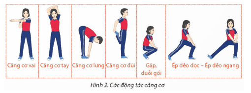 Giáo án GDTC 11 Kết nối tri thức Bài 1: Kĩ thuật nhoài người đỡ bóng bằng một tay