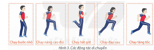 Giáo án GDTC 11 Kết nối tri thức Bài 1: Kĩ thuật nhoài người đỡ bóng bằng một tay