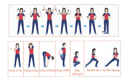 Giáo án GDTC 11 Kết nối tri thức Bài 1: Vai trò, tác dụng của môn Bóng chuyền đối với sự phát triển thể chất