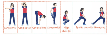 Giáo án GDTC 11 Kết nối tri thức Bài 2: Một số điều luật thi đấu môn Bóng chuyền