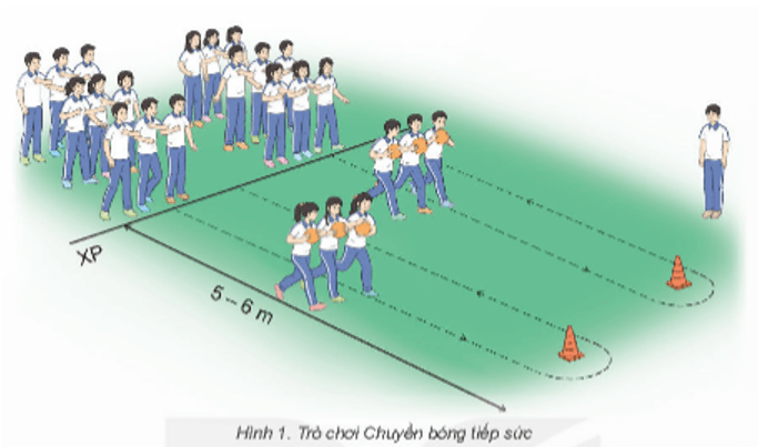 Giáo án GDTC 11 Kết nối tri thức Bài 2: Phối hợp kĩ thuật di chuyển lùi chéo bên phải đập cầu thuận tay