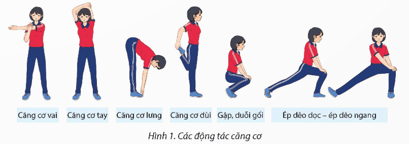 Giáo án GDTC 12 Kết nối tri thức Bài 1: Chiến thuật tấn công nhanh