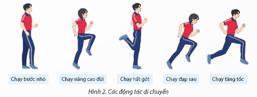 Giáo án GDTC 12 Kết nối tri thức Bài 1: Chiến thuật tấn công nhanh