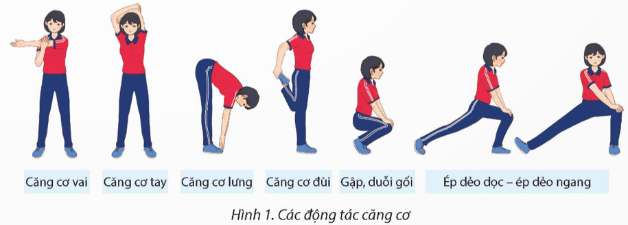 Giáo án GDTC 12 Kết nối tri thức Bài 1: Kĩ thuật di chuyển đổi hướng hình chữ V