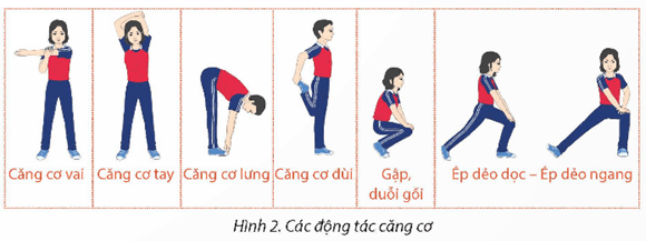 Giáo án GDTC 12 Kết nối tri thức Bài 1: Kĩ thuật phát bóng thấp tay nghiêng mình