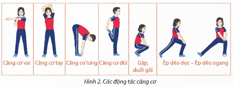 Giáo án GDTC 12 Kết nối tri thức Bài 1: Phối hợp di chuyển chuyền bóng thấp tay bằng hai tay trước mặt