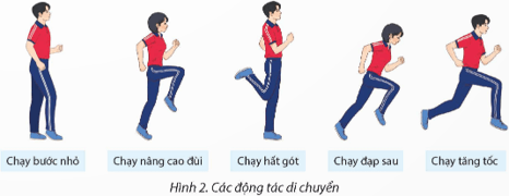 Giáo án GDTC 12 Kết nối tri thức Bài 2: Kĩ thuật chặn người tranh bóng bật bảng