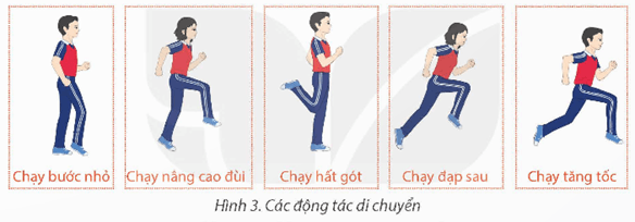 Giáo án GDTC 12 Kết nối tri thức Bài 2: Kĩ thuật phát bóng cao tay nghiêng mình