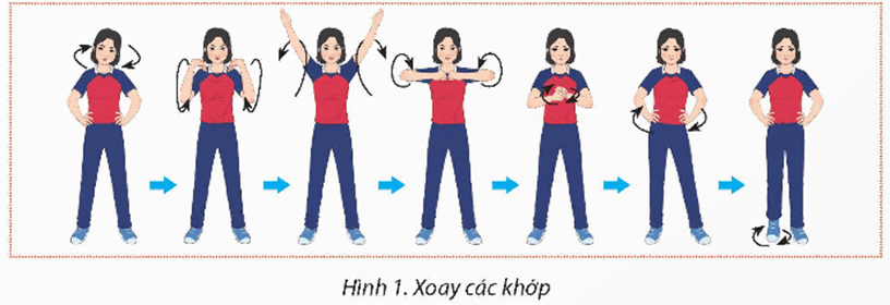 Giáo án GDTC 12 Kết nối tri thức Bài 2: Phối hợp di chuyển chuyền bóng cao tay bằng hai tay trước mặt