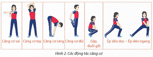 Giáo án GDTC 12 Kết nối tri thức Bài 2: Phối hợp di chuyển chuyền bóng cao tay bằng hai tay trước mặt