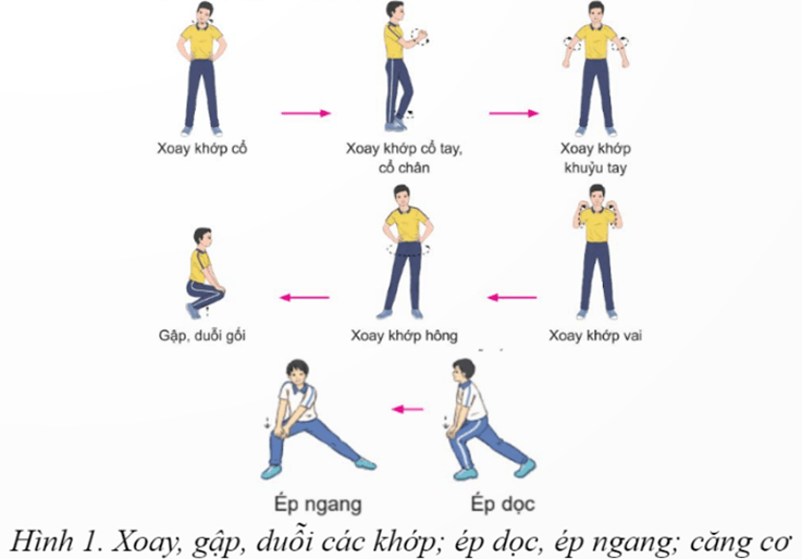 Giáo án GDTC 12 Kết nối tri thức Bài 3: Chiến thuật đánh cầu phòng thủ trong thi đấu đôi