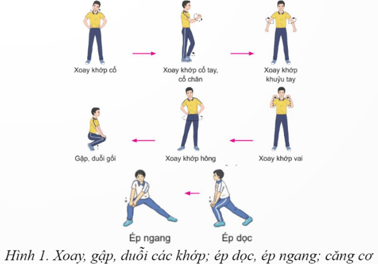 Giáo án GDTC 12 Kết nối tri thức Bài 3: Phối hợp kĩ thuật di chuyển lùi bật nhảy đập cầu thuận tay