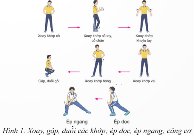 Giáo án GDTC 12 Kết nối tri thức Bài 3: Phối hợp kĩ thuật di chuyển tiến chéo bên phải bỏ nhỏ thuận tay