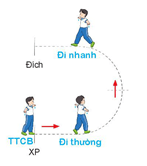 Giáo án Giáo dục thể chất lớp 2 Kết nối tri thức Bài 4: Bài tập phối hợp di chuyển nhanh dần theo vạch kẻ sang trái và sang phải