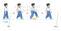 Giáo án Giáo dục thể chất lớp 3 Kết nối tri thức Bài 1: Bài tập phối hợp di chuyển vượt qua chướng ngại vật trên đường thẳng