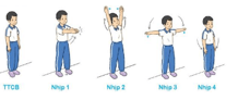 Giáo án Giáo dục thể chất lớp 3 Kết nối tri thức Bài 1: Động tác vươn thở, động tác tay
