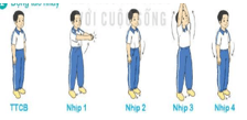 Giáo án Giáo dục thể chất lớp 3 Kết nối tri thức Bài 3: Động tác phối hợp, động tác nhảy, động tác điều hoà