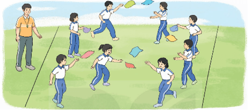 Giáo án Giáo dục thể chất lớp 4 Kết nối tri thức Bài 1: Bài tập rèn luyện kĩ năng thăng bằng Kết nối tri thức