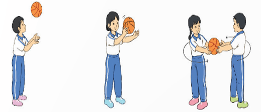 Giáo án Giáo dục thể chất lớp 4 Kết nối tri thức Bài 1: Các động tác làm tăng khả năng điều khiển bóng Kết nối tri thức