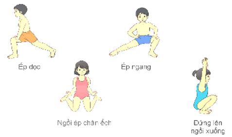 Giáo án Giáo dục thể chất lớp 4 Kết nối tri thức Bài 1: Động tác chân kiểu bơi ếch Kết nối tri thức