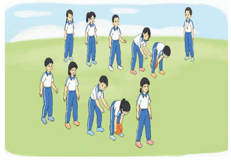 Giáo án Giáo dục thể chất lớp 4 Kết nối tri thức Bài 2: Động tác tại chỗ dẫn bóng thep hình chữ V, dẫn bóng vượt chướng ngại vật Kết nối tri thức