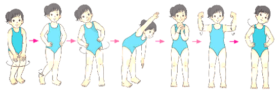 Giáo án Giáo dục thể chất lớp 4 Kết nối tri thức Bài 2: Động tác tay kiểu bơi ếch Kết nối tri thức