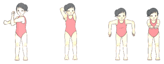 Giáo án Giáo dục thể chất lớp 4 Kết nối tri thức Bài 2: Động tác tay kiểu bơi ếch Kết nối tri thức